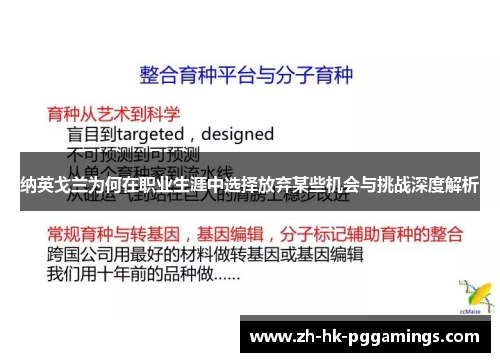 纳英戈兰为何在职业生涯中选择放弃某些机会与挑战深度解析 纳英戈兰为何在职业生涯中选择放弃某些机会与挑战深度解析